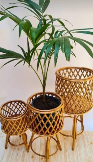 Cane Flower Vase