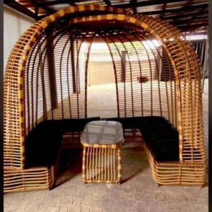 VIP Canopy